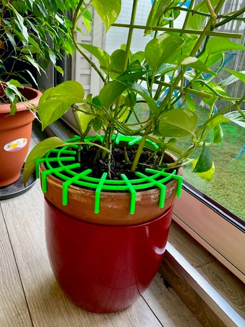 Flower pot cat protection ring