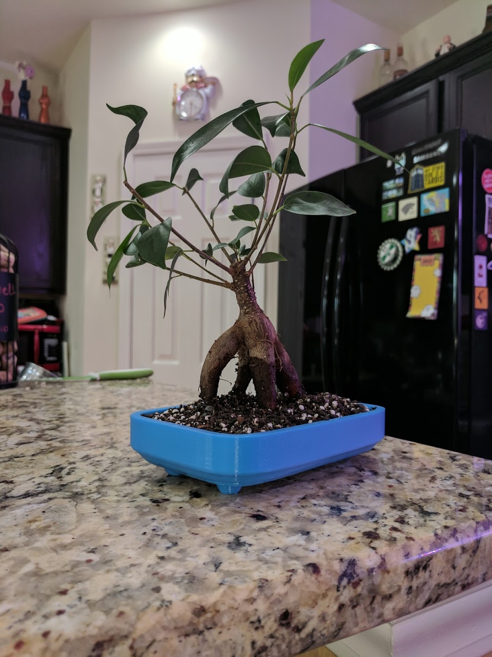 EZ-Print Bonsai Planter - Rectangle