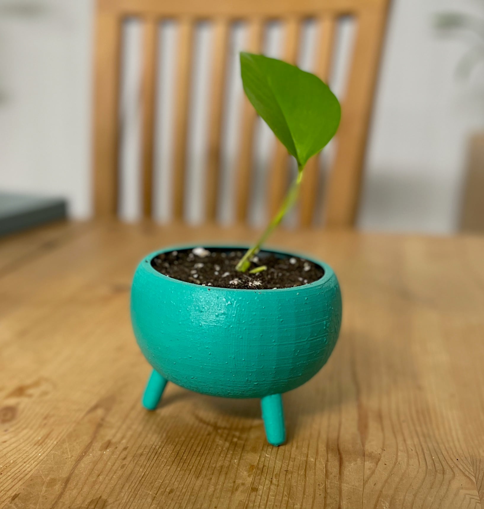 Tripod plant pot