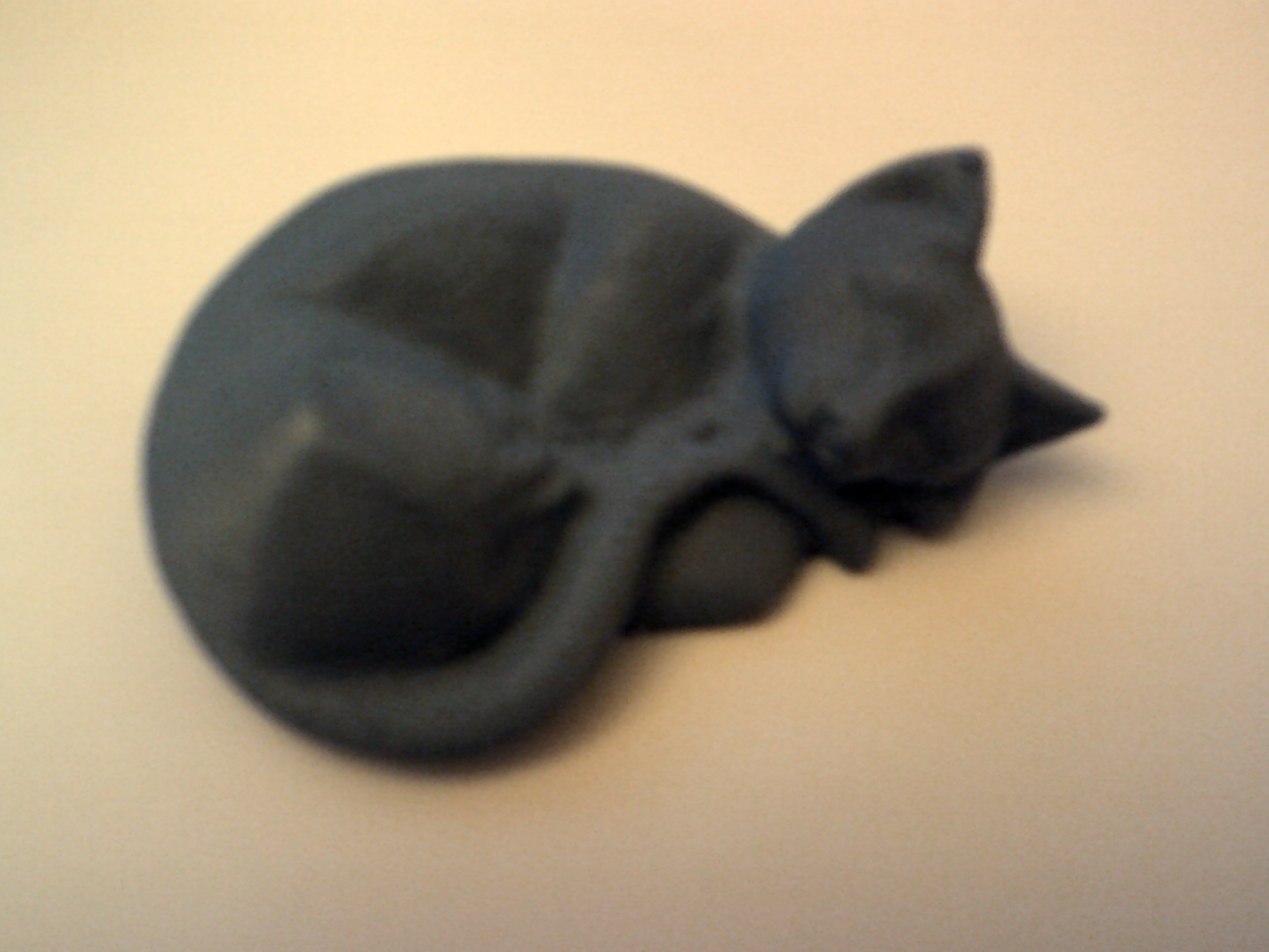 Sleeping cat