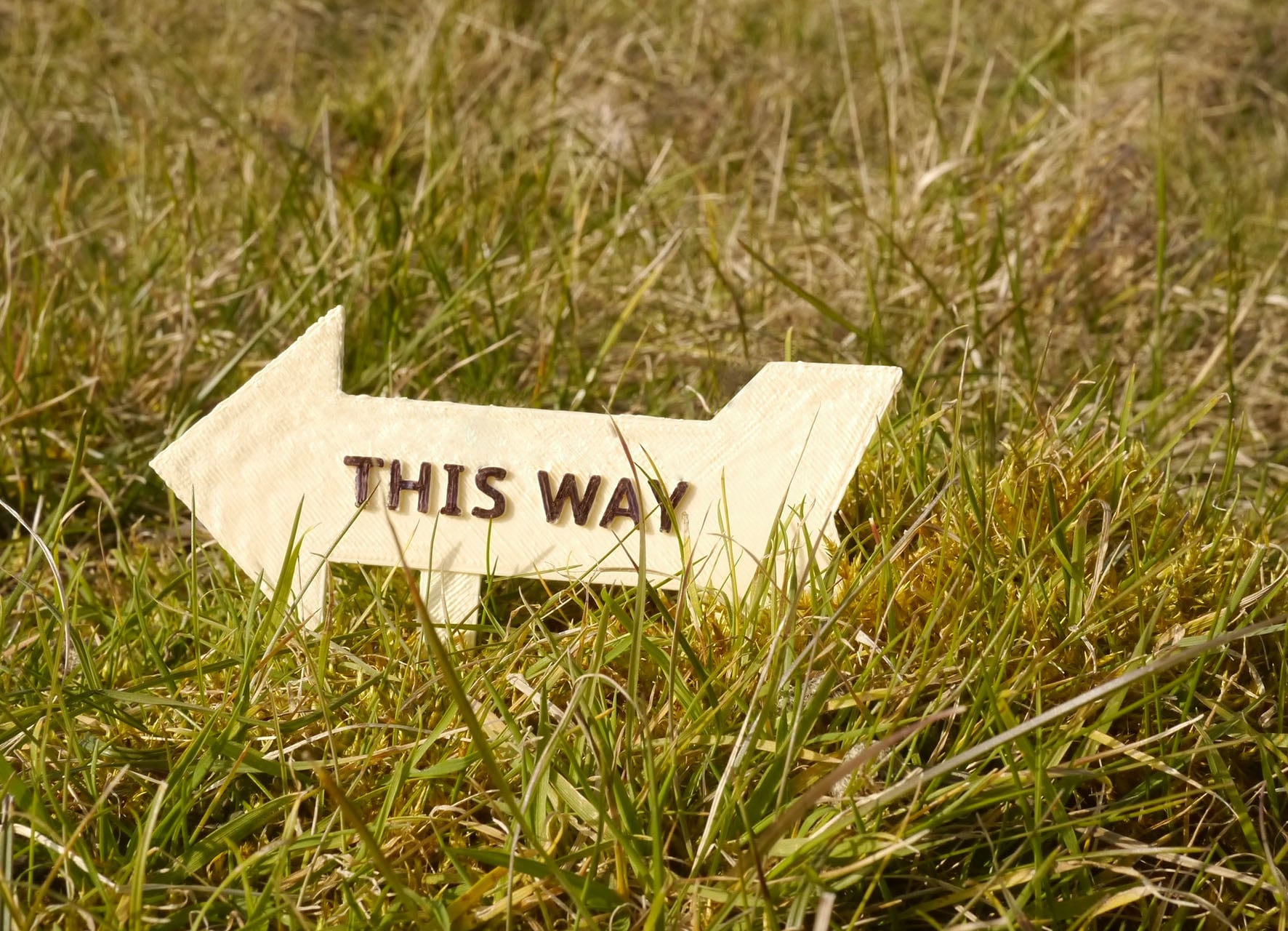 Easter Egg Hunt Signs