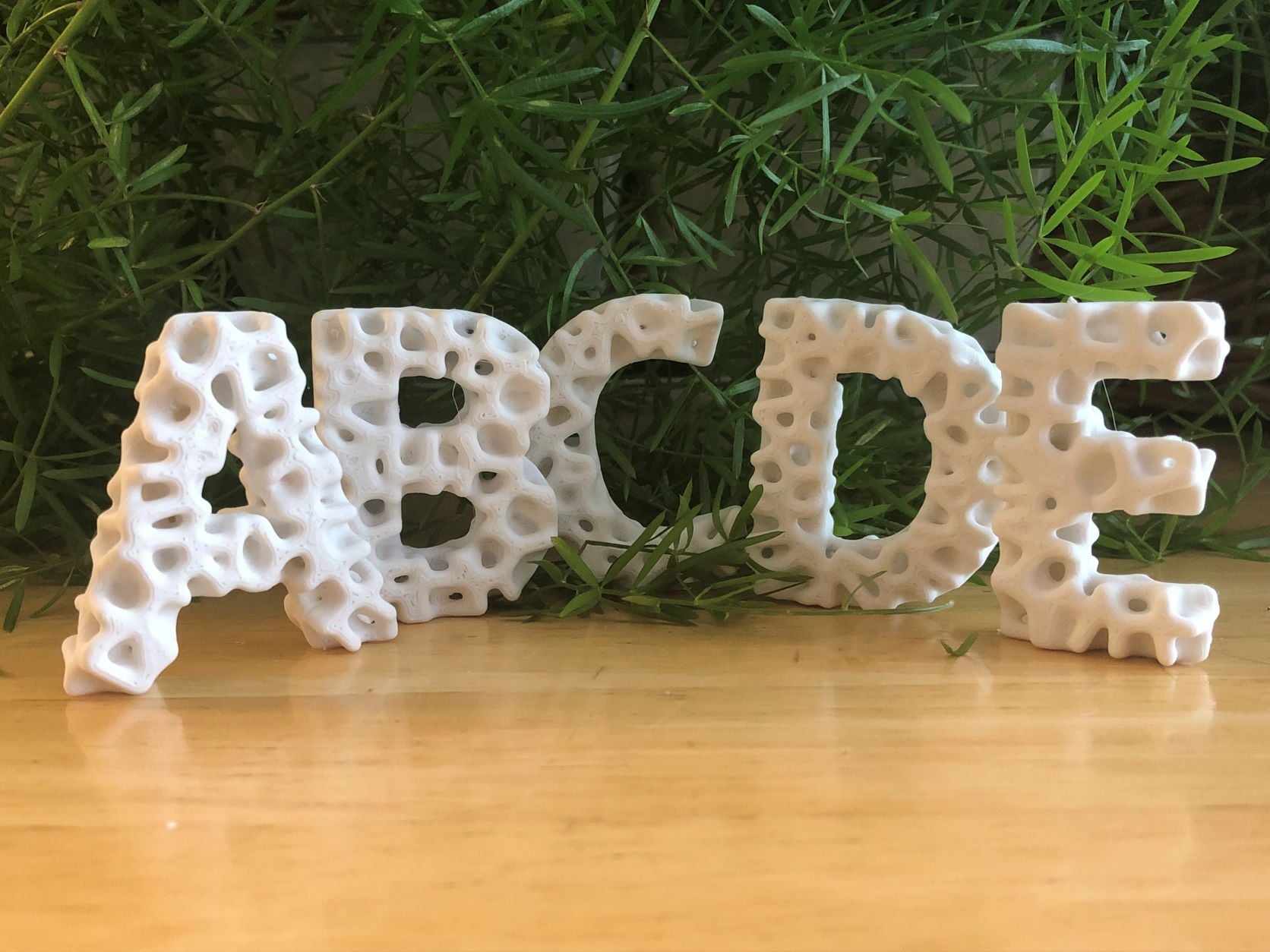 Lichen Letters