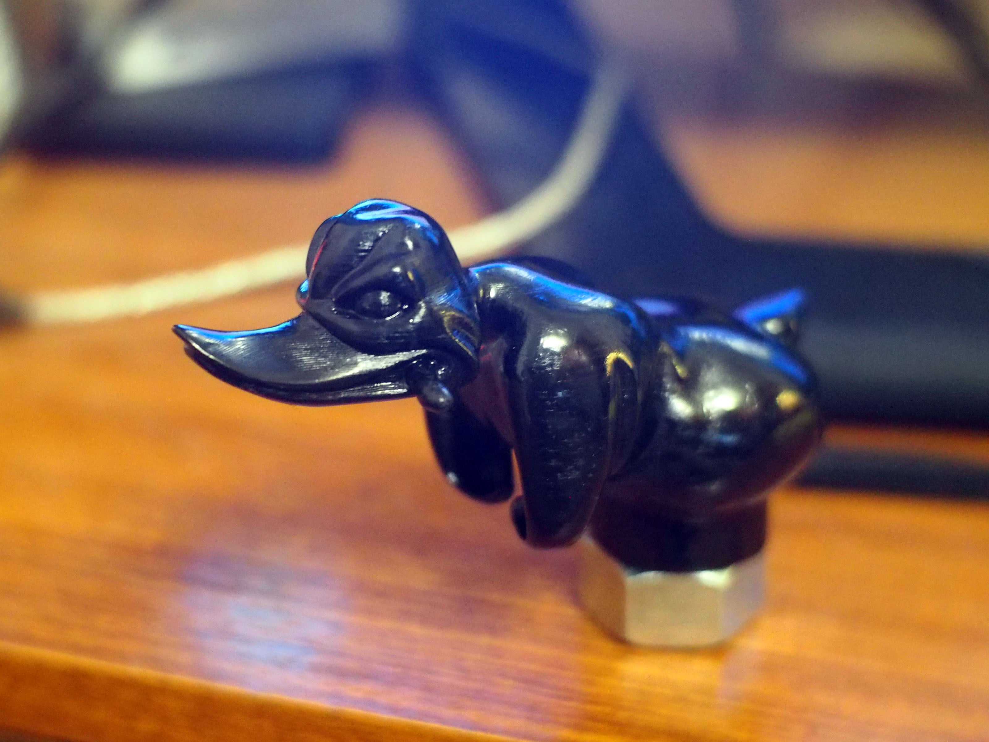 Convoy duck