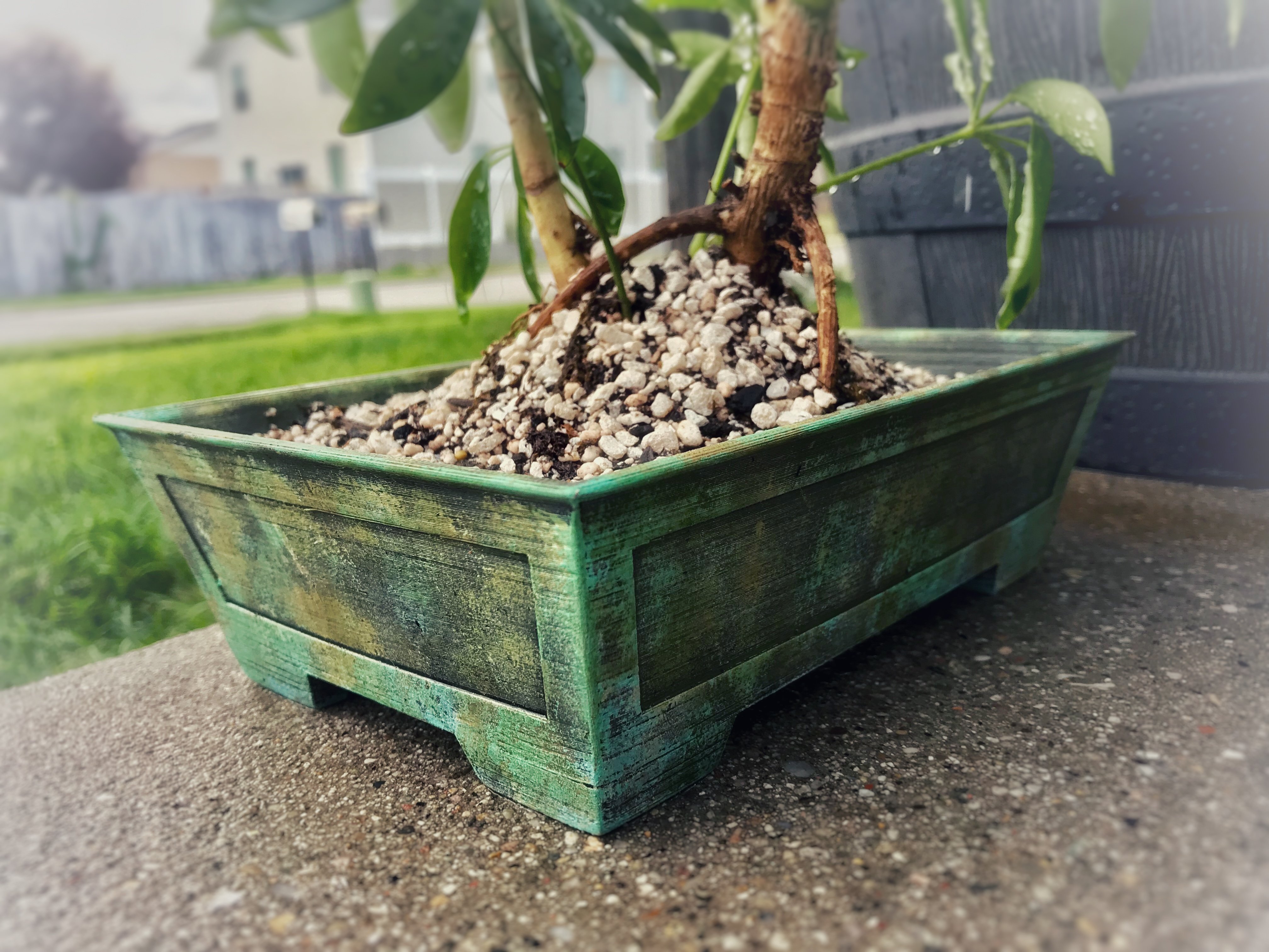 Rectangular Bonsai Pot (180x120x50 mm) no supports