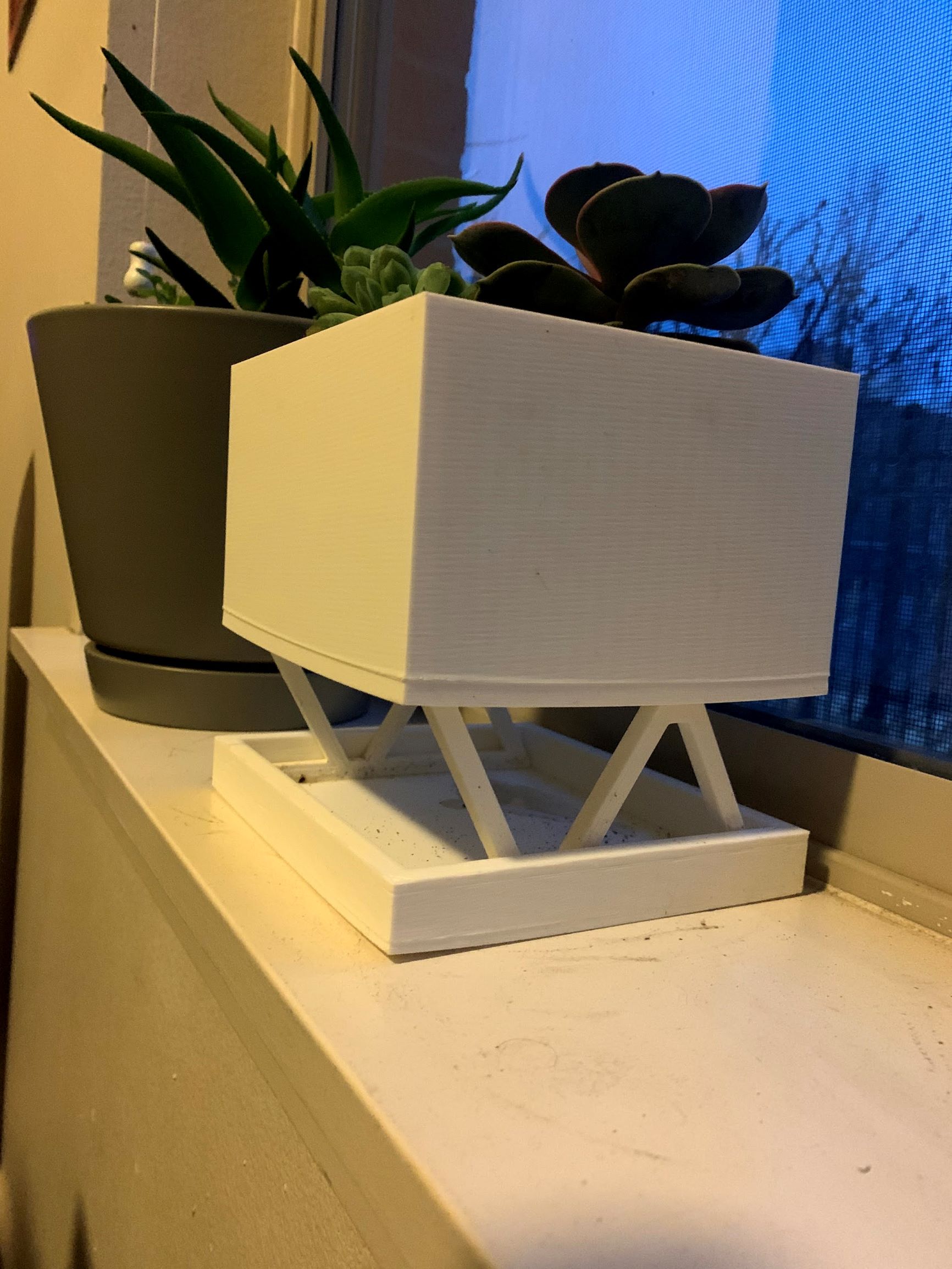 Plant Pot, Modern, with drainage reservoir, good for succulents