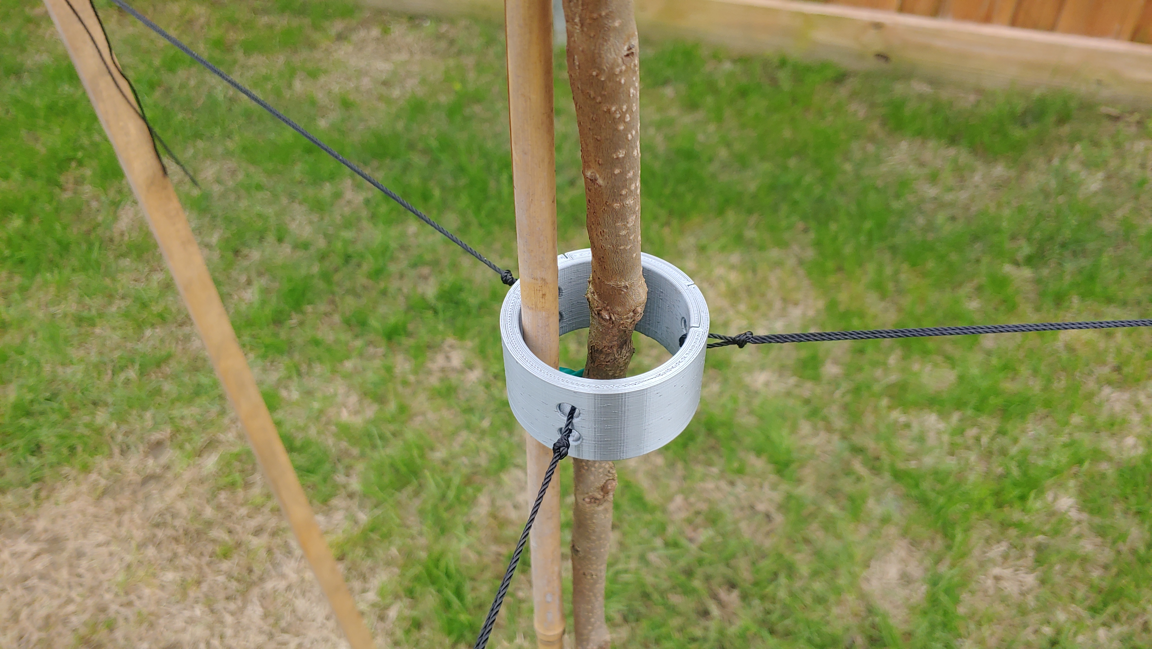 Tree Support Ring