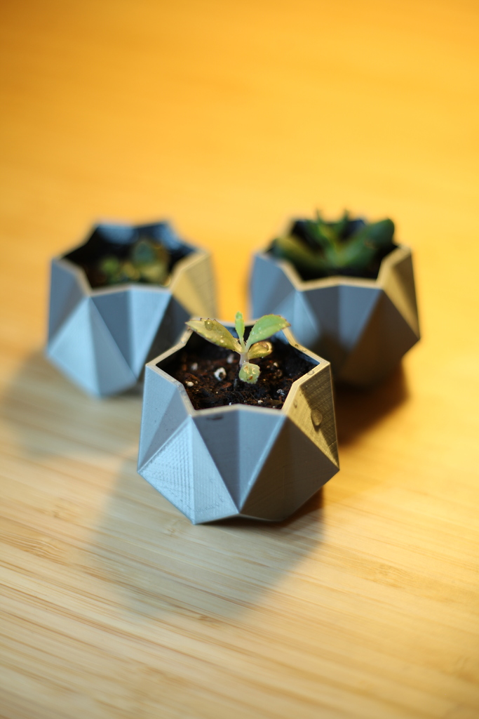Mini Geometric Plant Pot