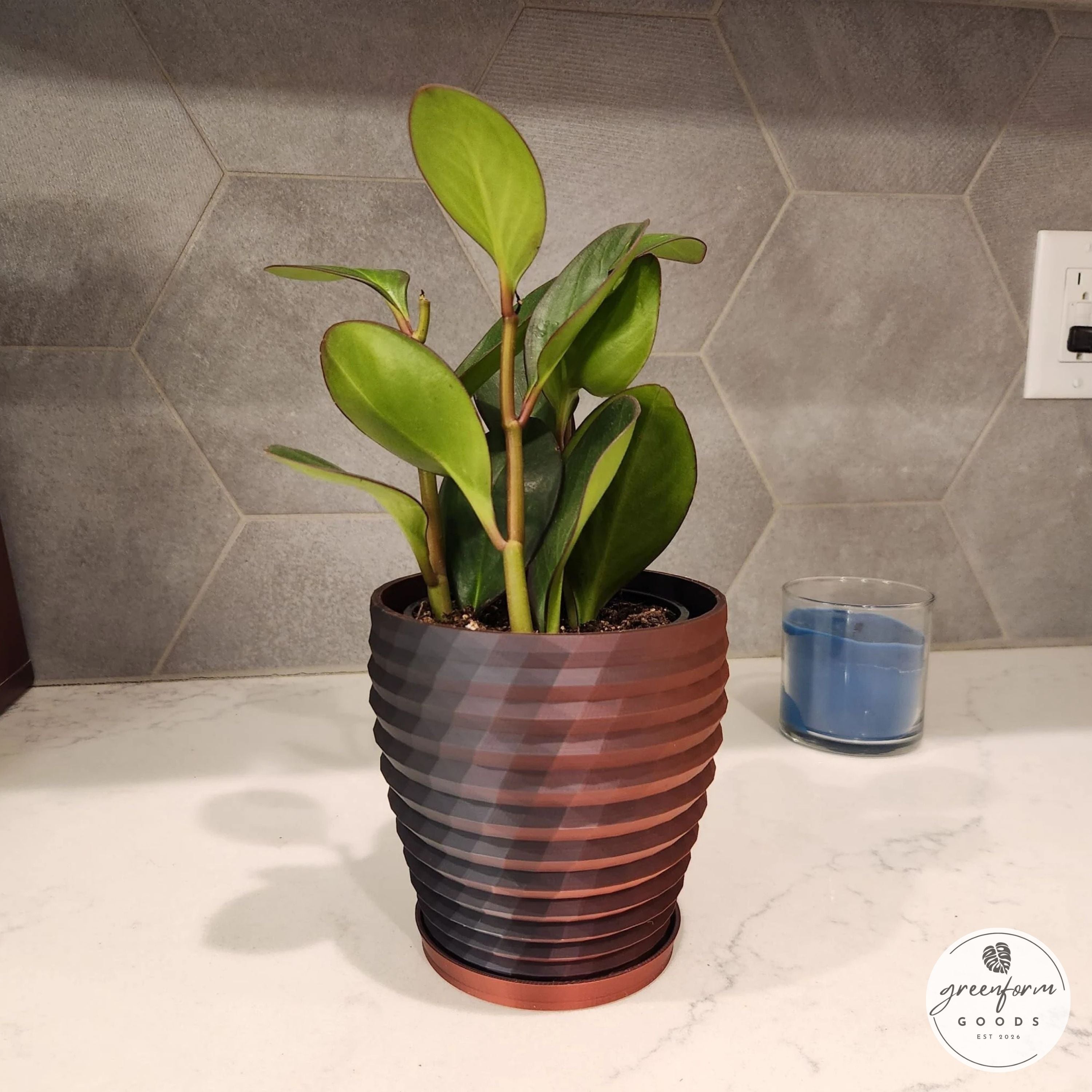 Geometric Planter with Subtle Twisting Rings