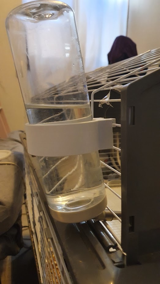 Bunny water holder