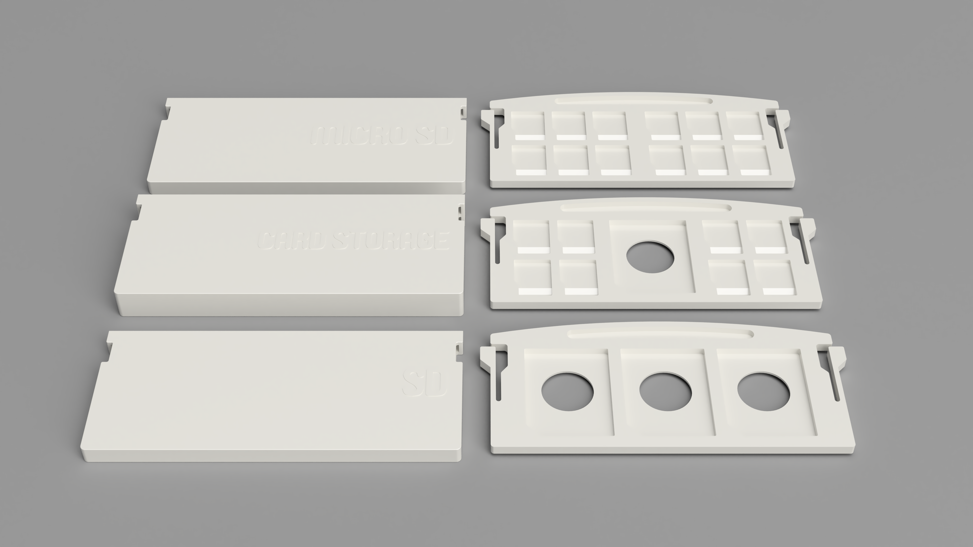 Micro SD + SD Case