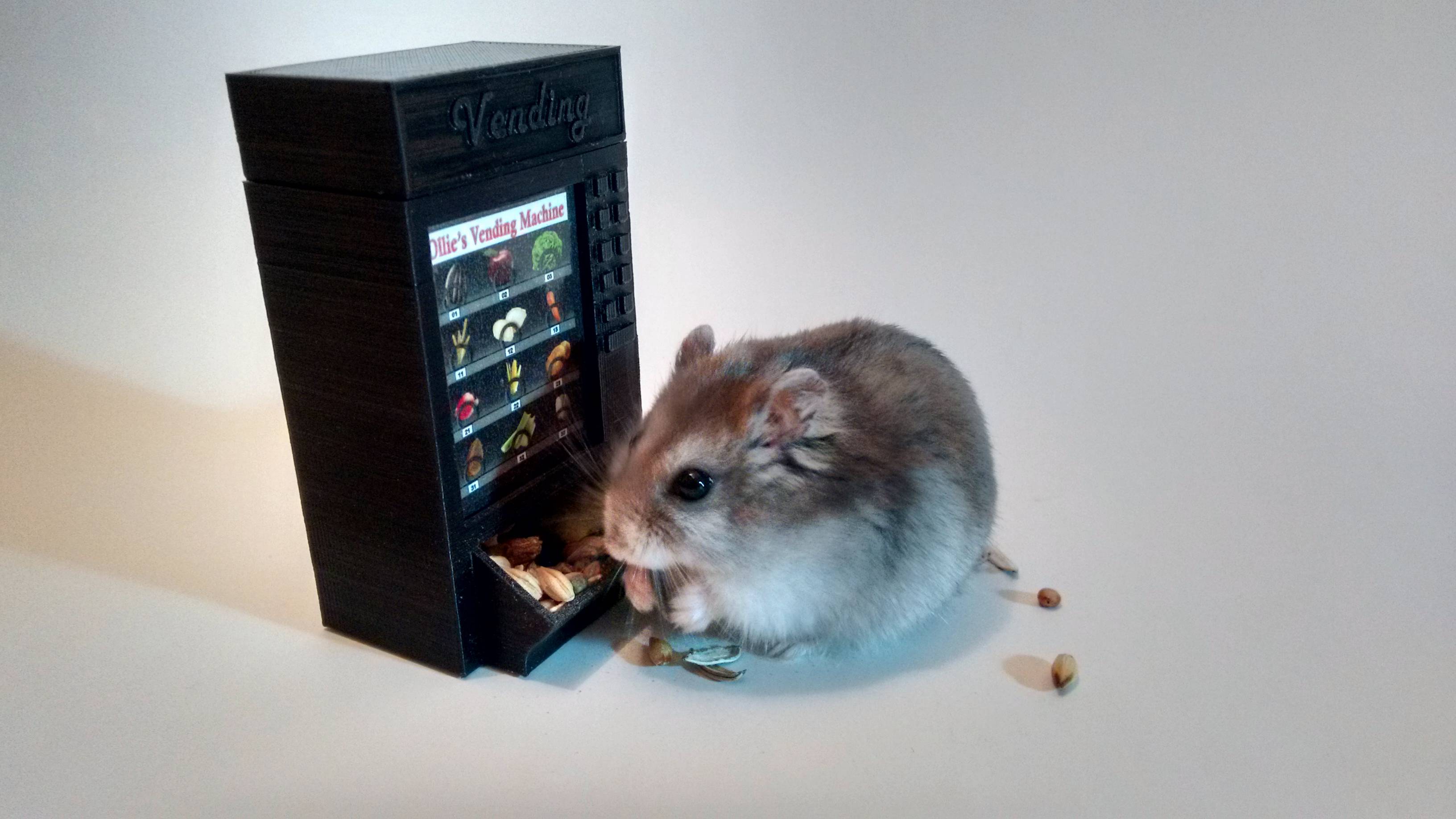 Ollie's Vending Machine (Hamster feeder)