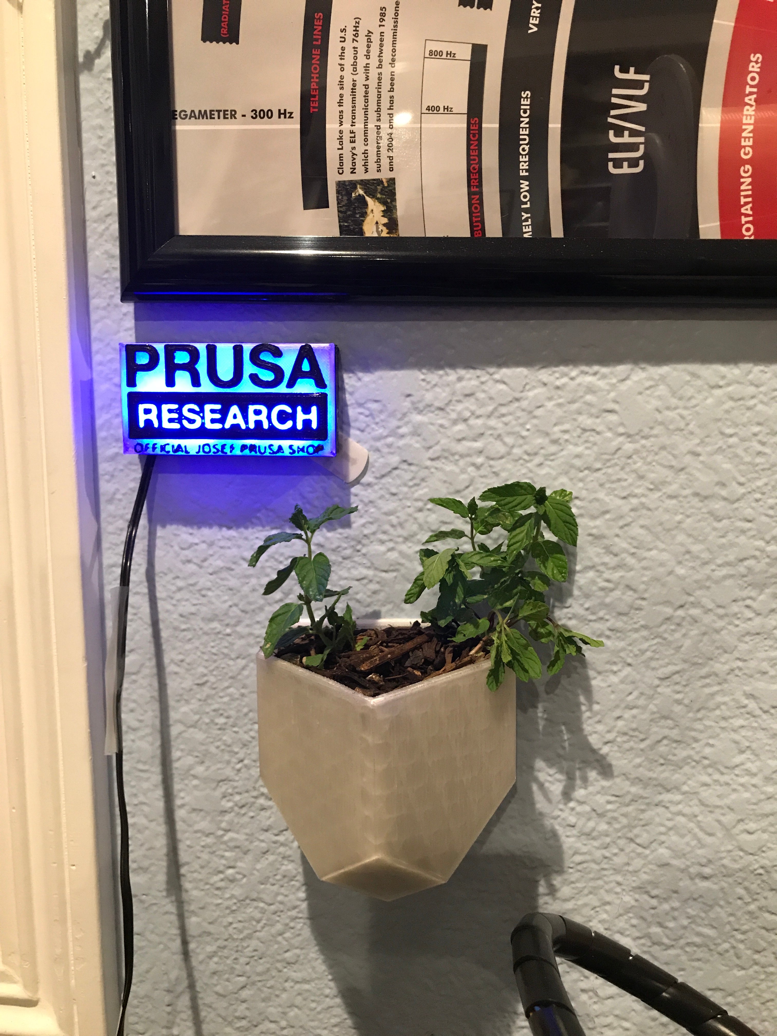 Wall pot