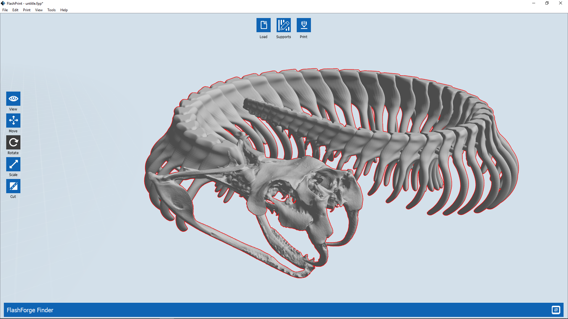 Gaboon Viper Skeleton Articulated