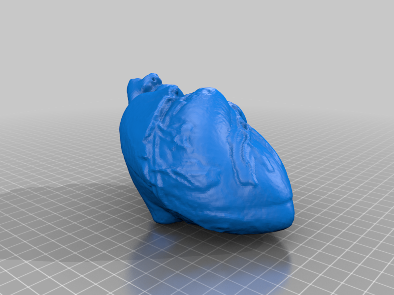 Human Heart