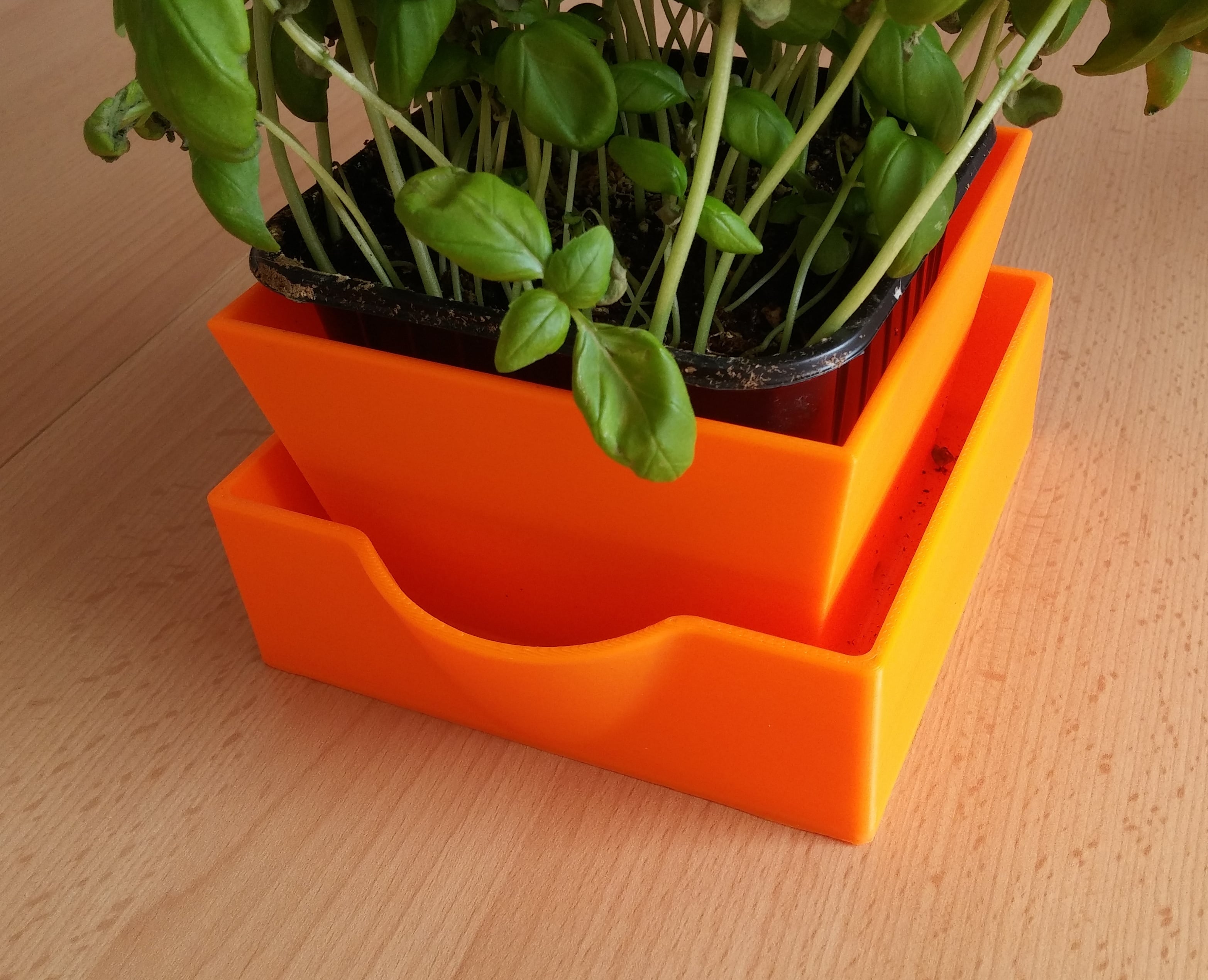 Flower pot with bottom watering