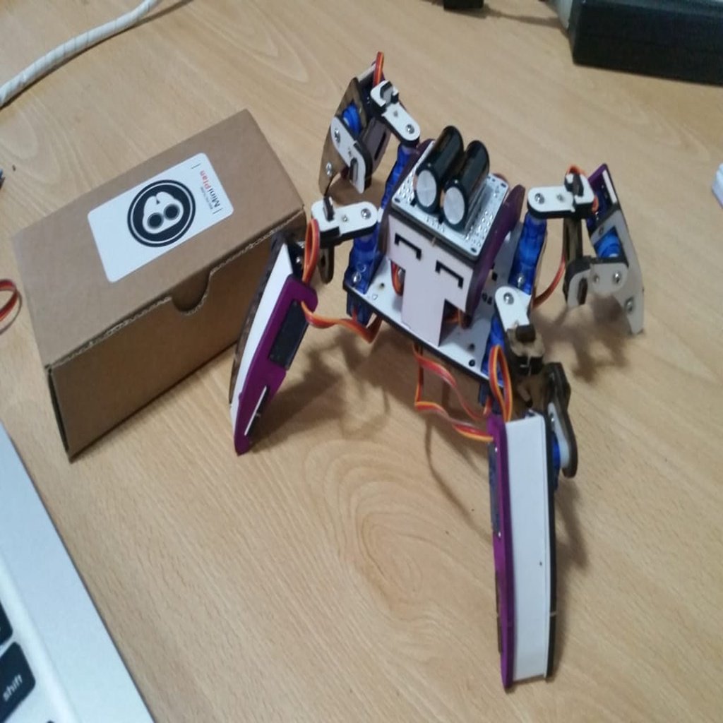 Q1 Robot custom