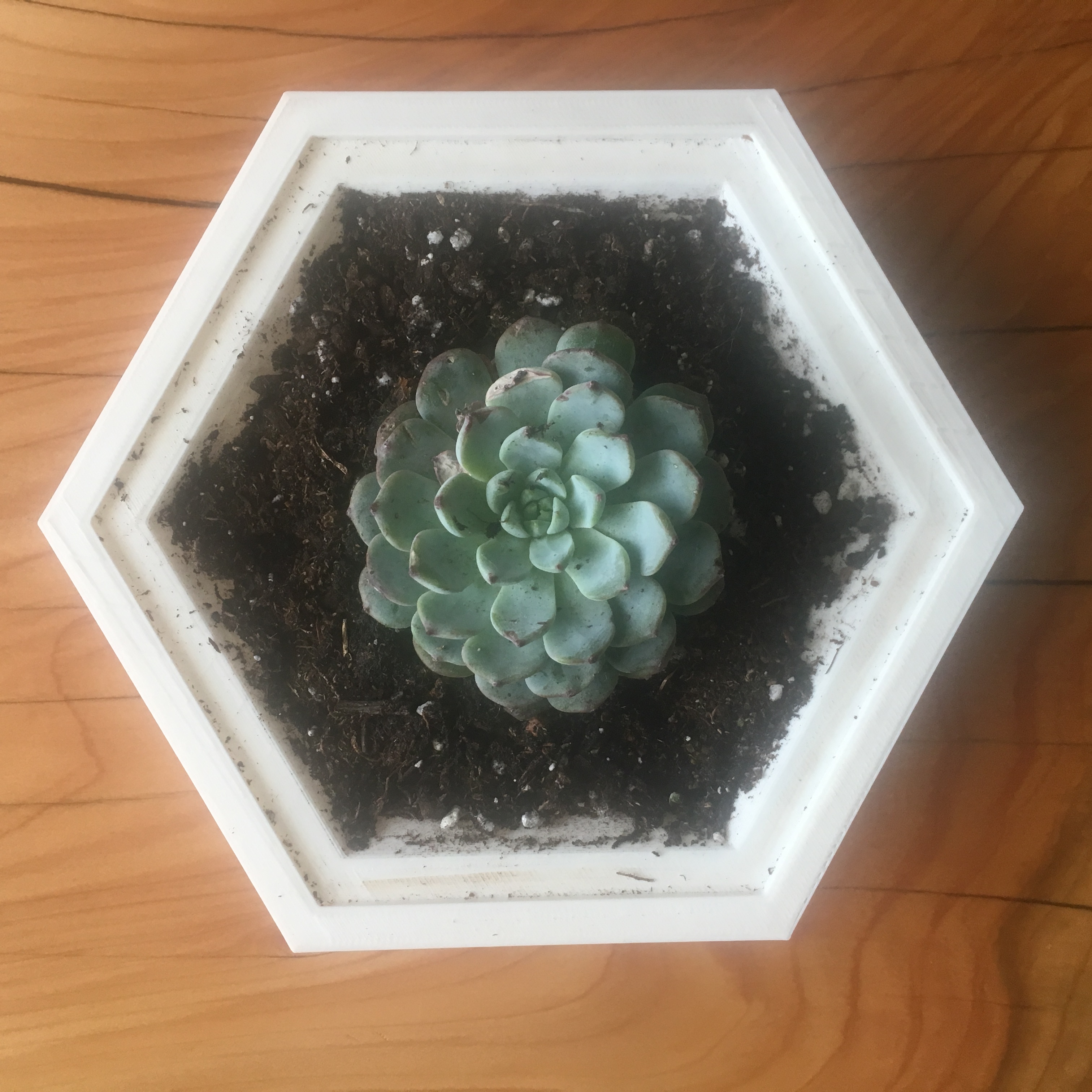 N-sided low-poly planter bowls set of 9 (plus bonus 12-sided bowl)