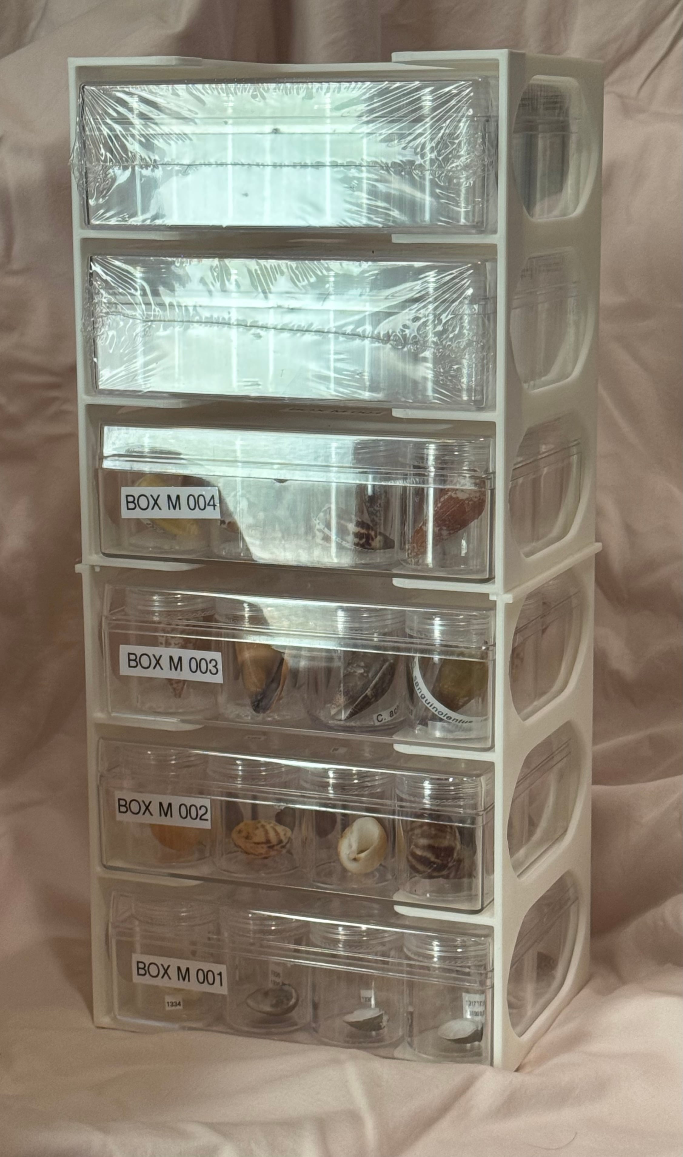 Shelf for medium canister boxes