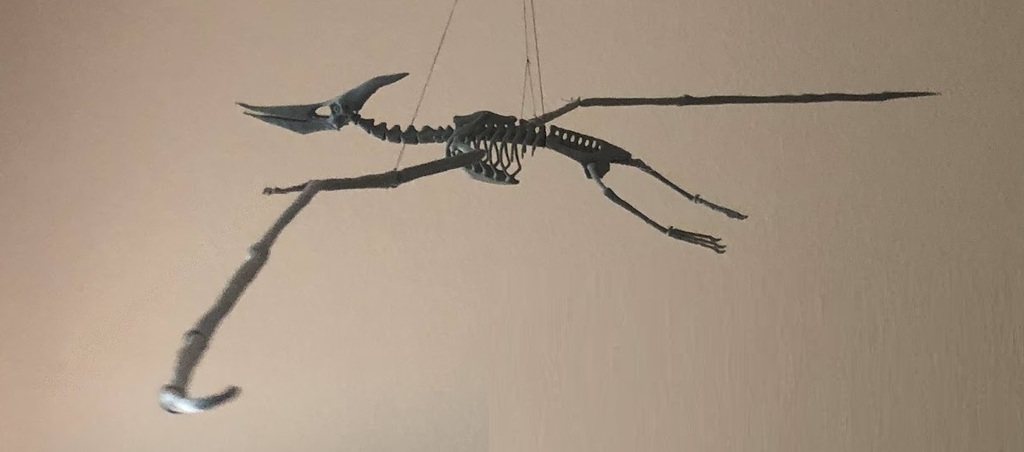 Pteranodon Skeleton