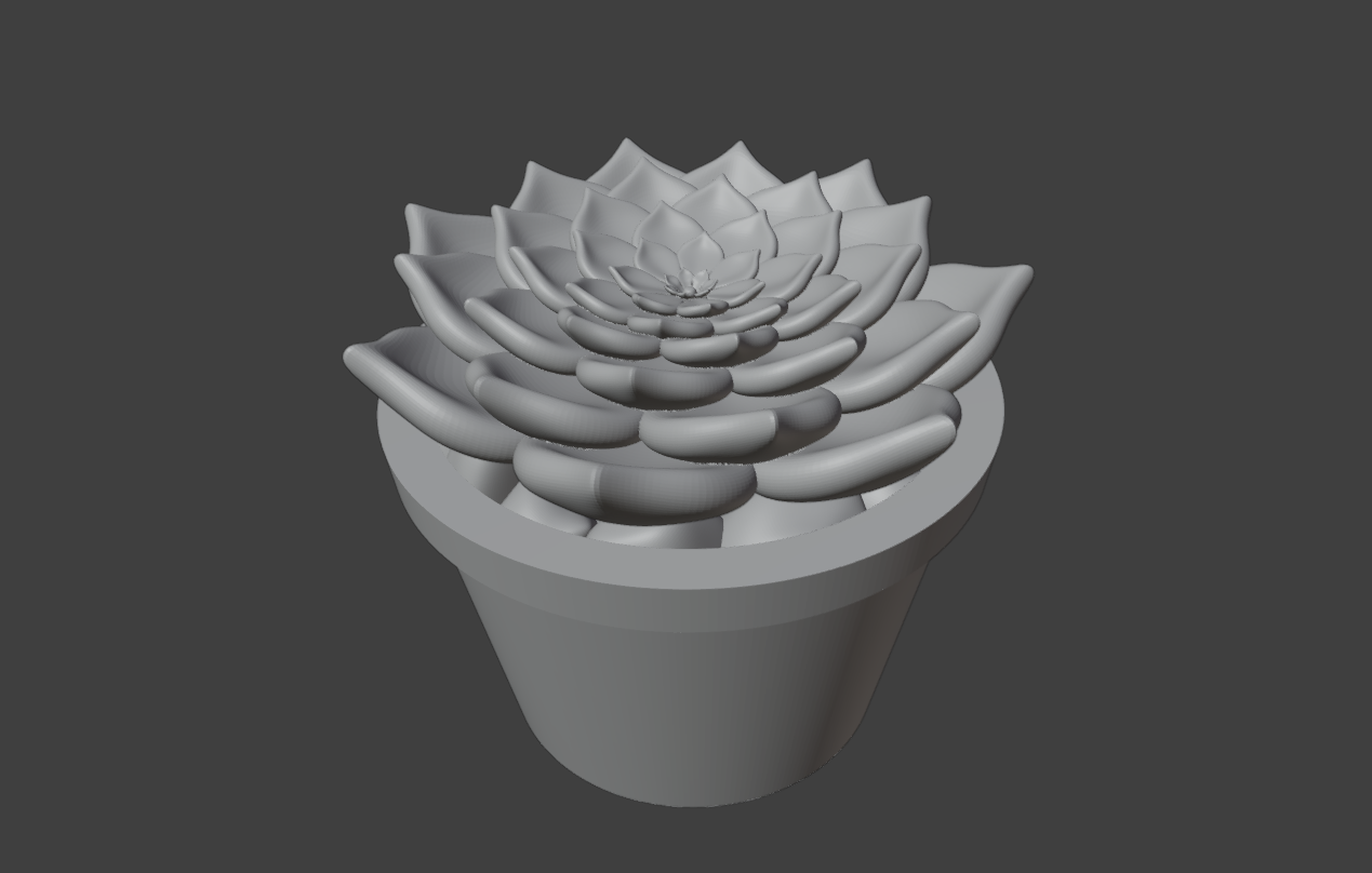 succulent in pot 5