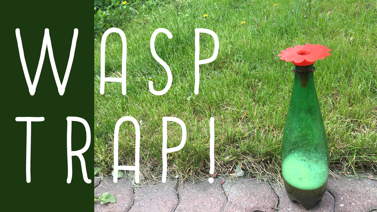 Wasp Trap (redesigned!)