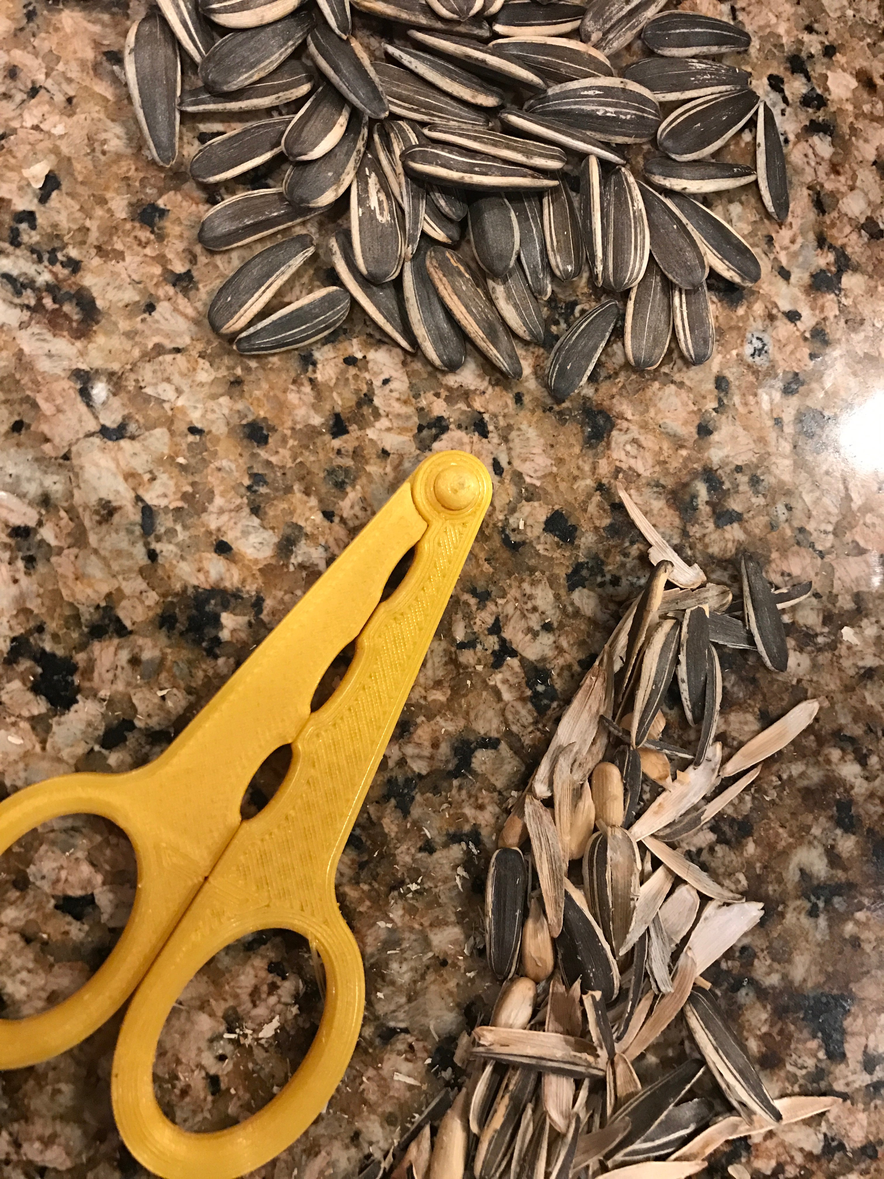 Sunflower Seeds Cracker