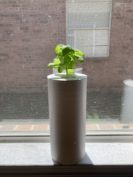 Kratky Passive Hydroponic Vase