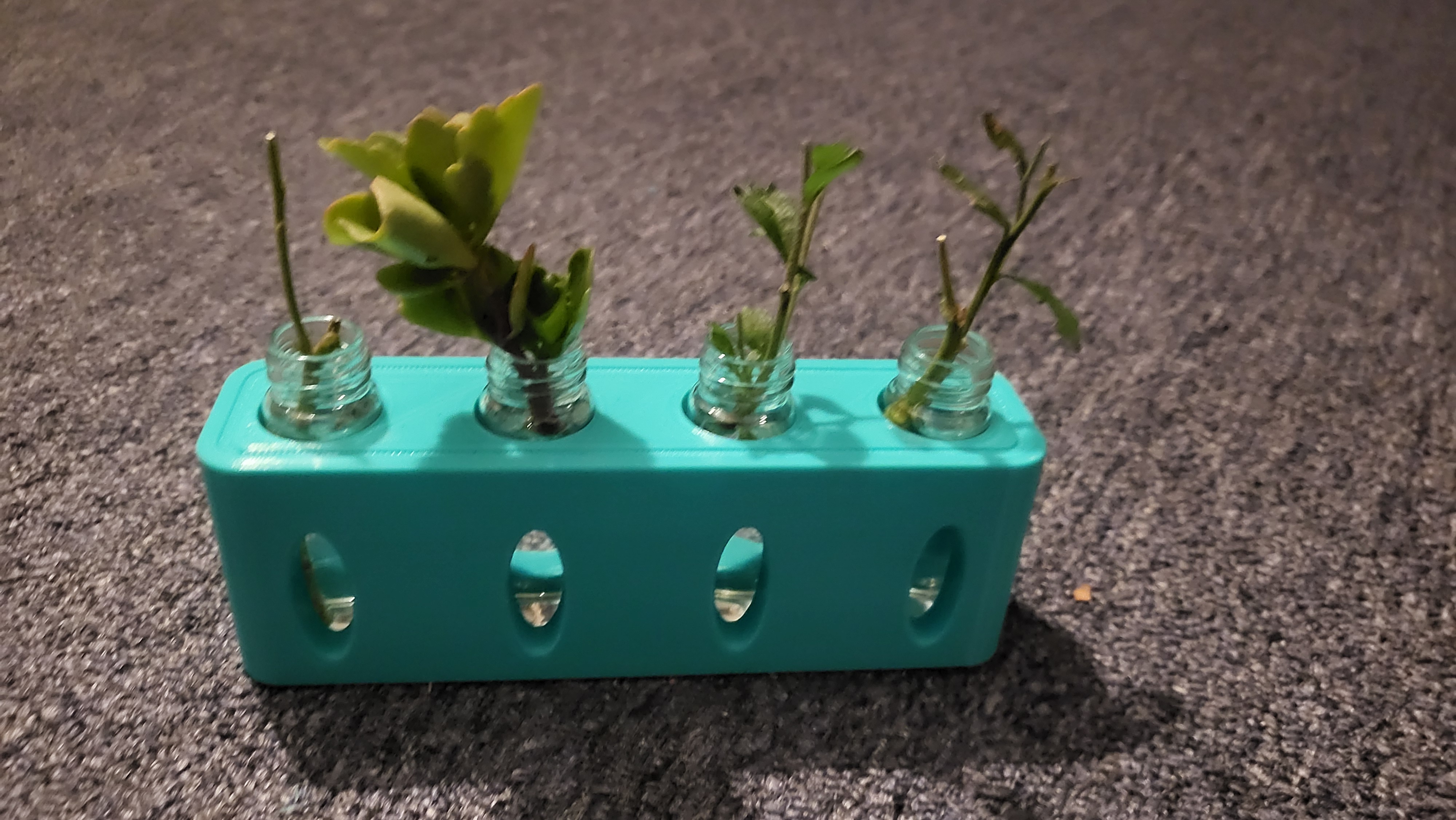 Propagation Station