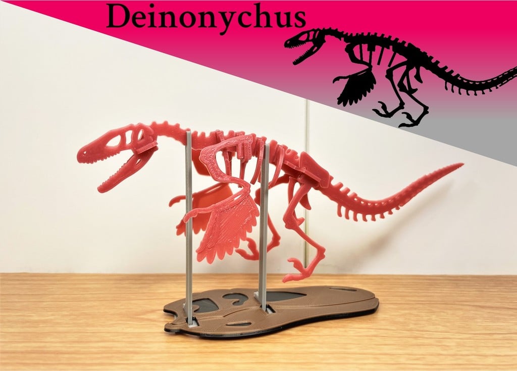 [3Dino Puzzle] Deinonychus