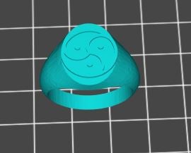 BDSM Signet Ring