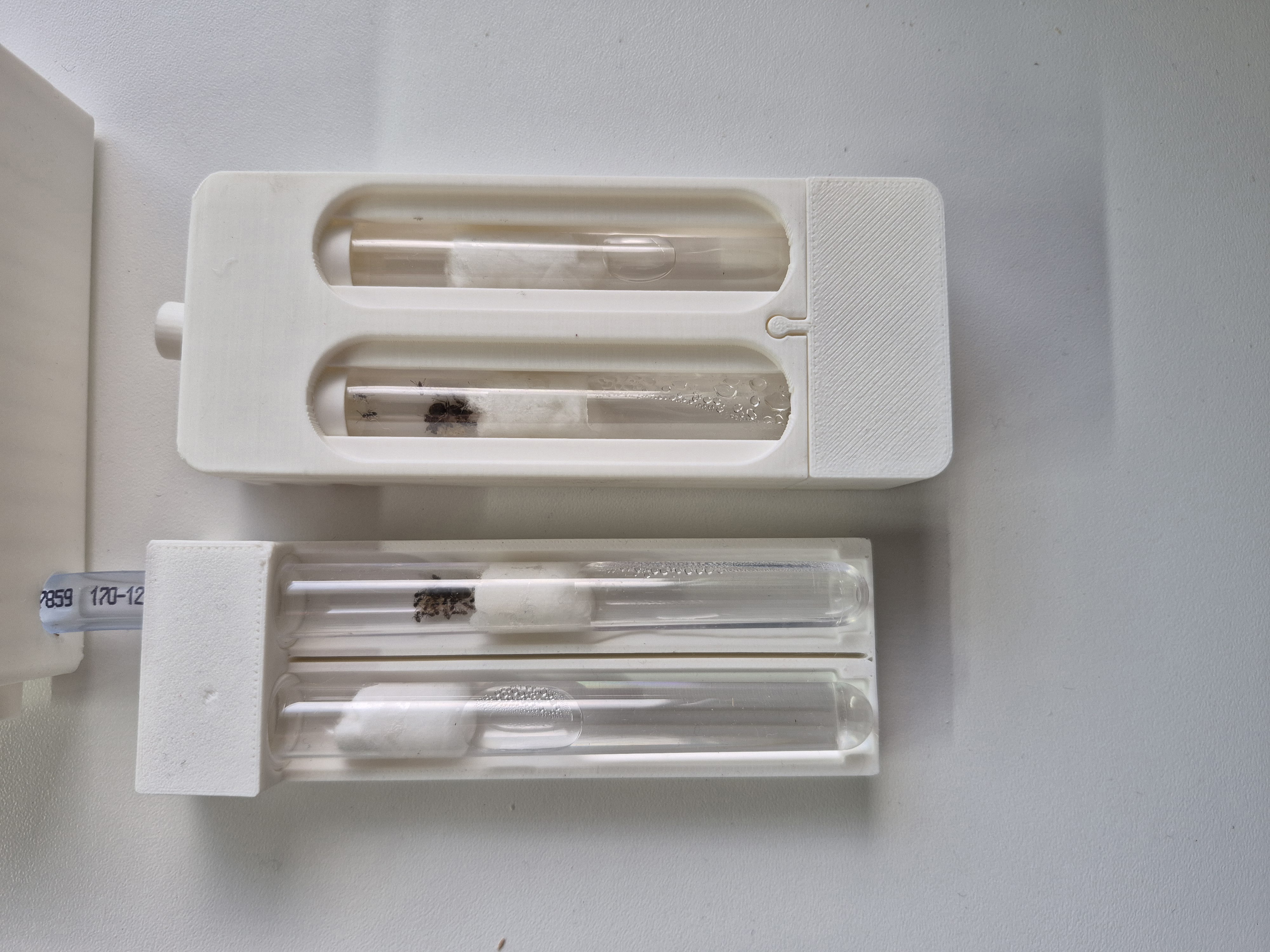 Ant starter formicarium V2