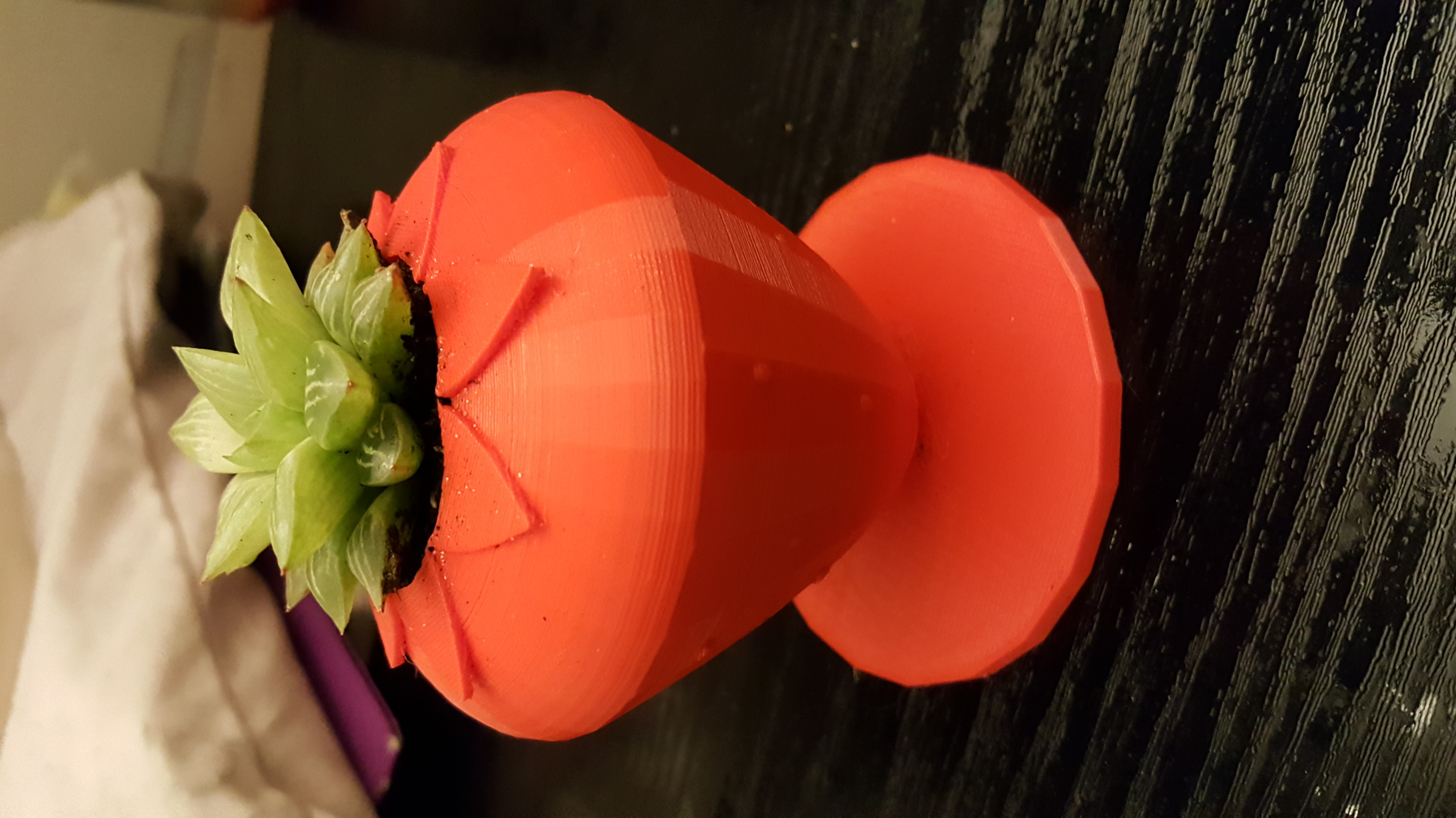 Strawberry Planter