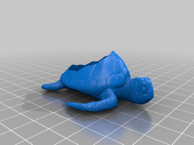 Sea Turtle Planter