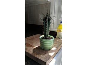 Cactus Things Search Thingiverse
