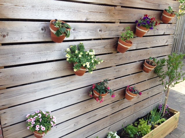 15cm Plant pot wall mount