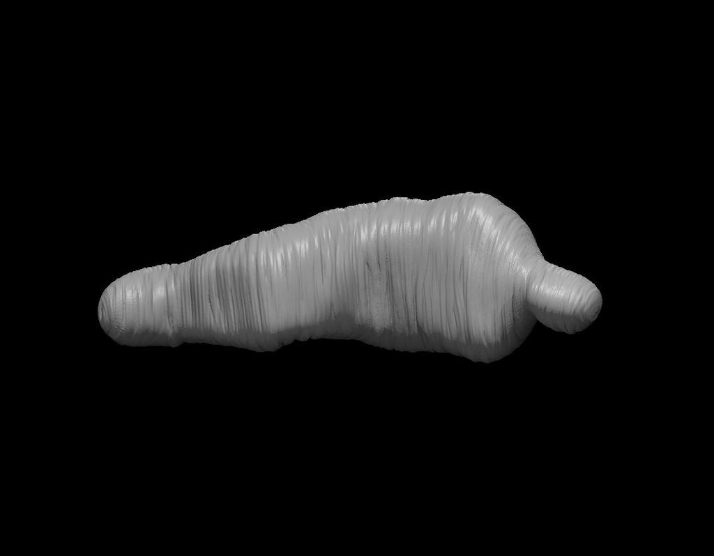 Body in Spider webs 3D model
