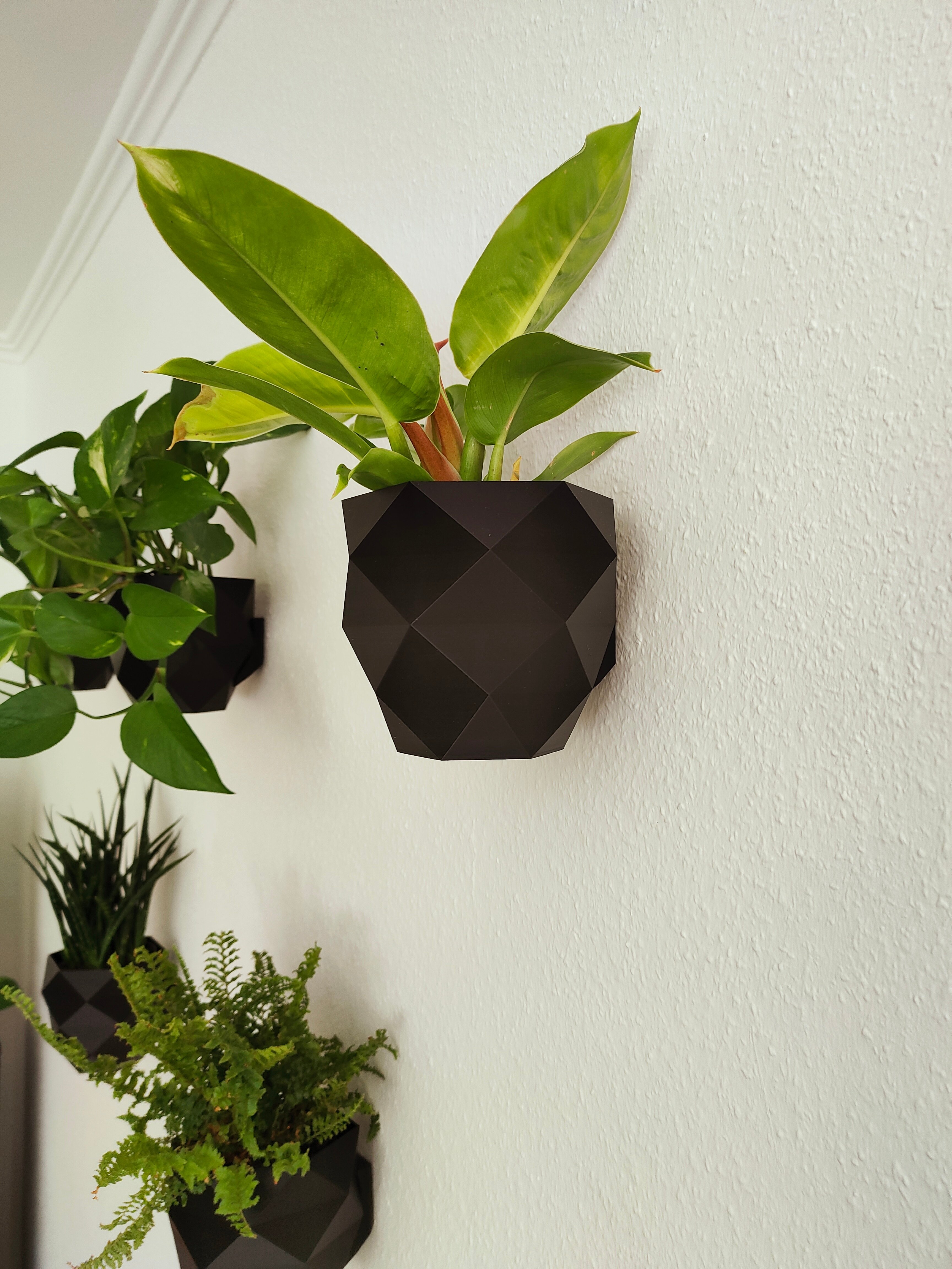 Self watering planter with wall mount