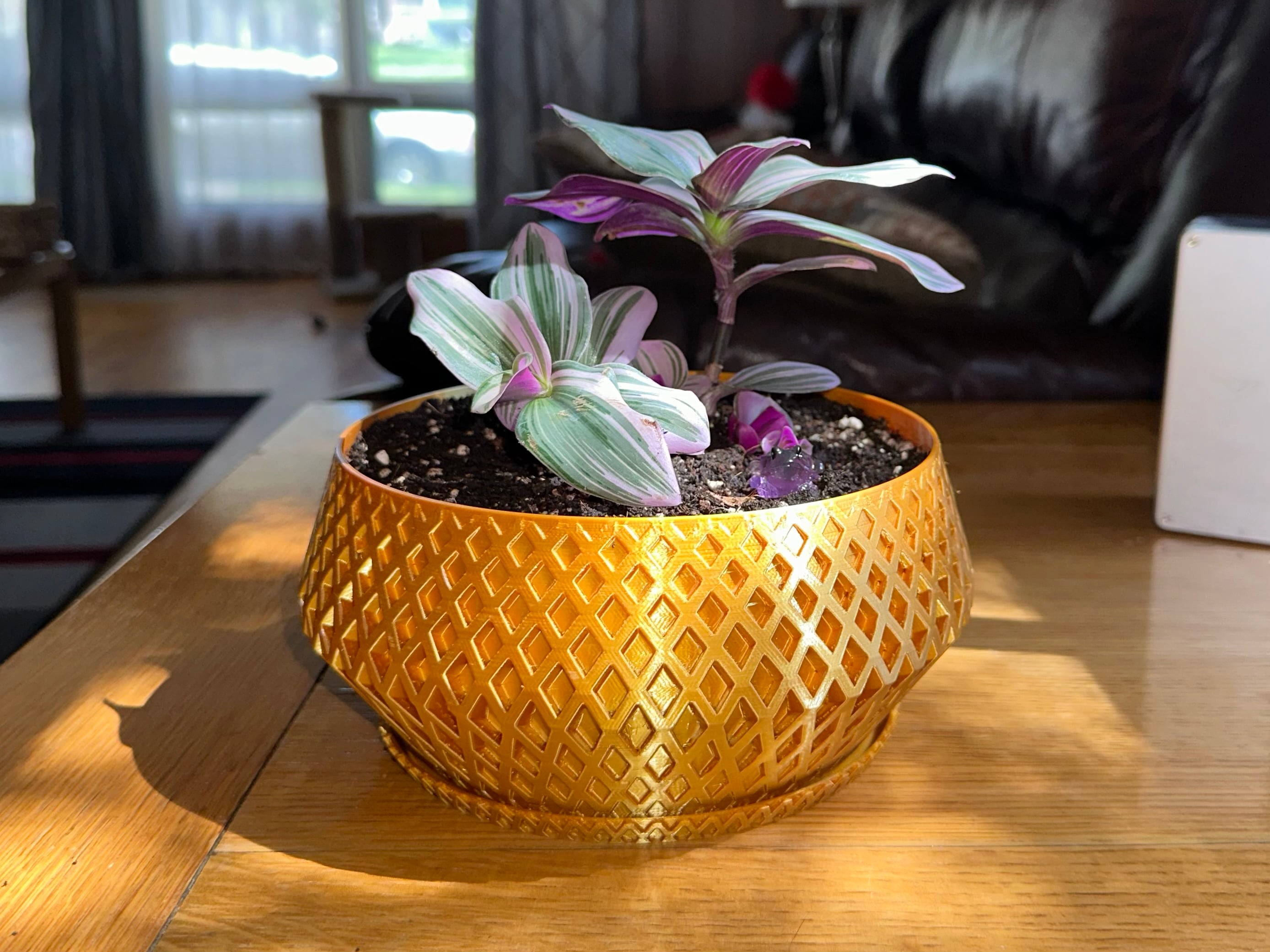 Pot
