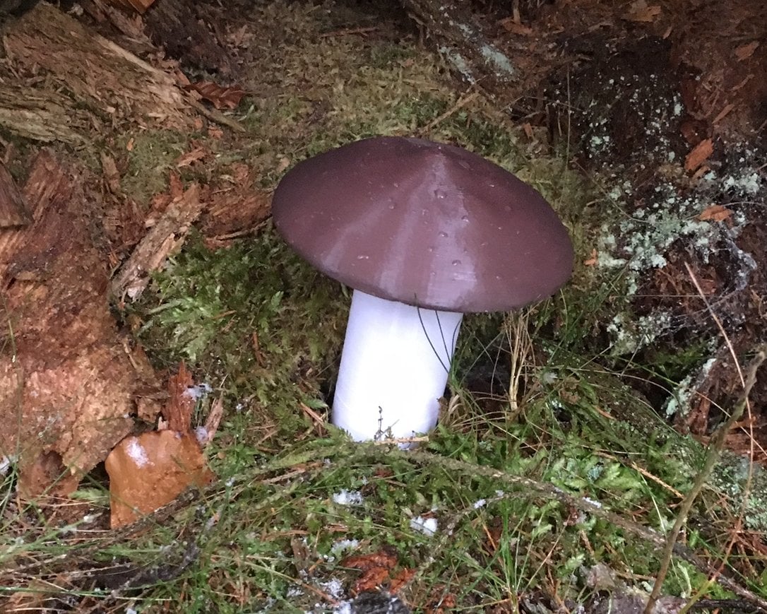 Mushroom-Geocache-Container