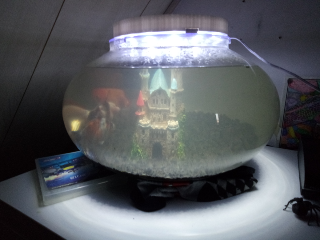 Fish bowl lamp w. 45 LED