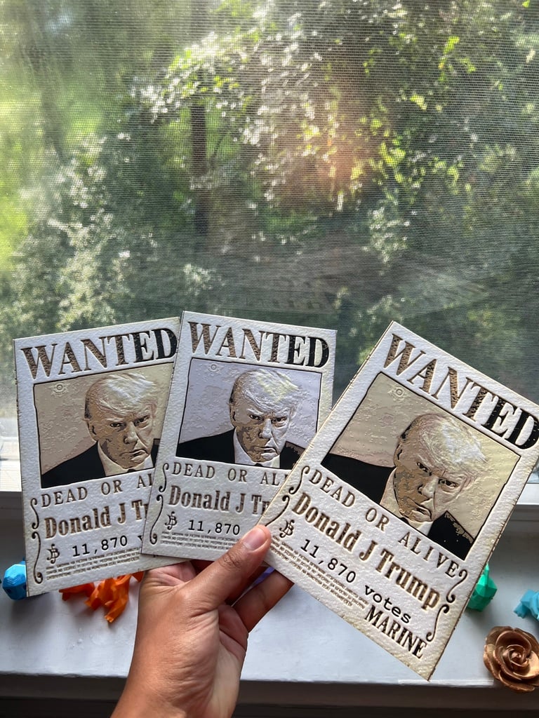 Trump Wanted Poster - One Piece Inspried - made w/ HueForge