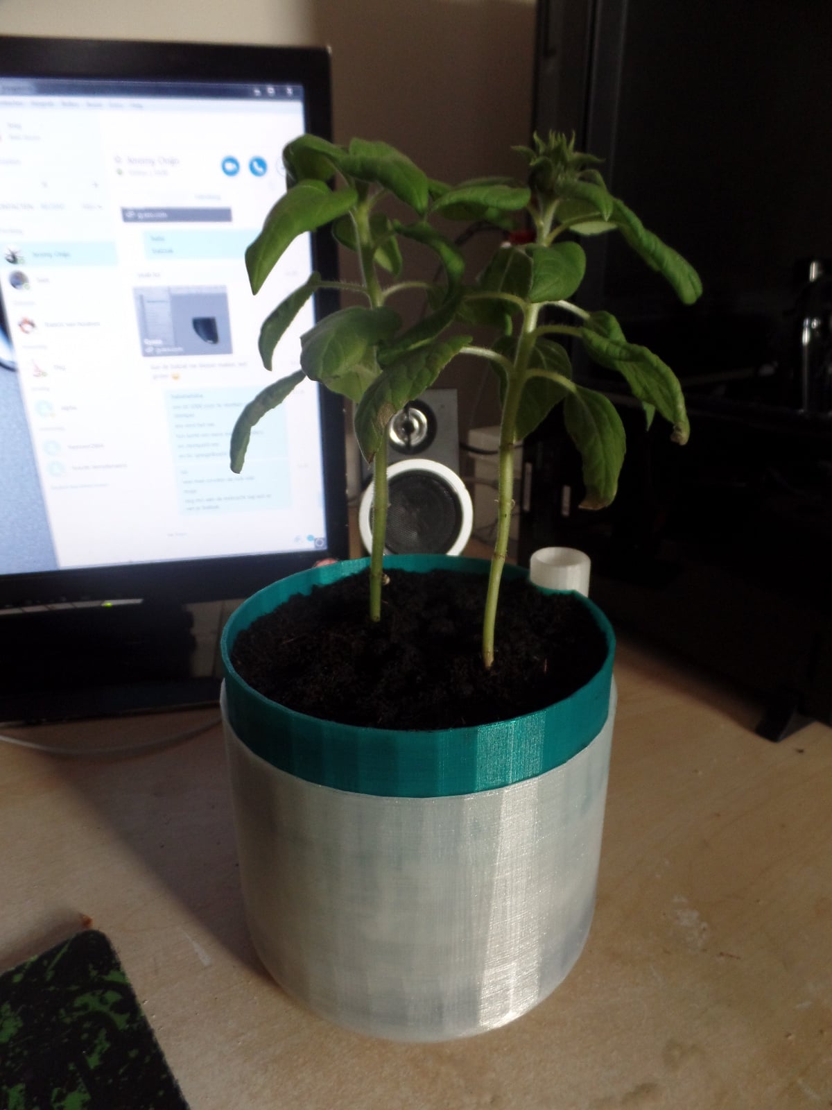 Self-Watering Flowerpot Large