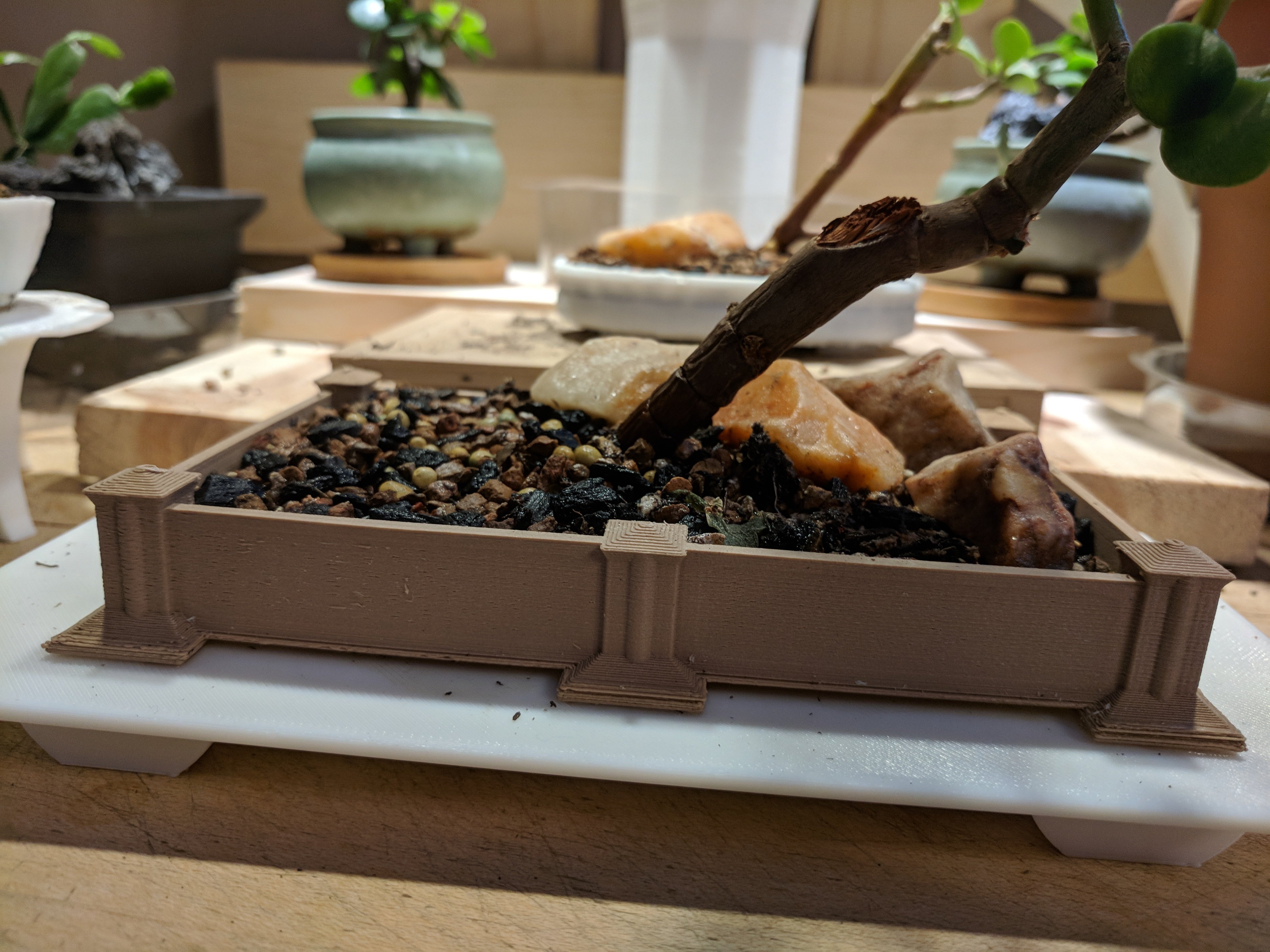 Bonsai Pot with Pillars