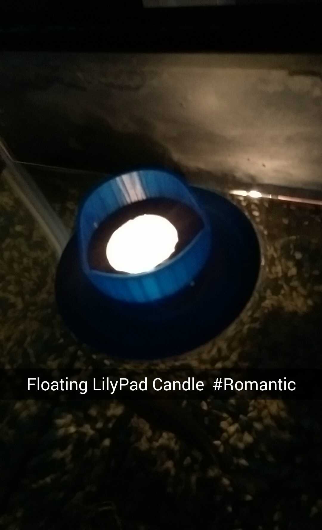 LilyPad Decorative Holder and Buoyancy Test