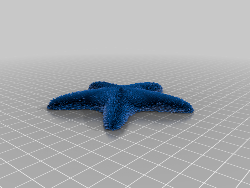 textured starfish