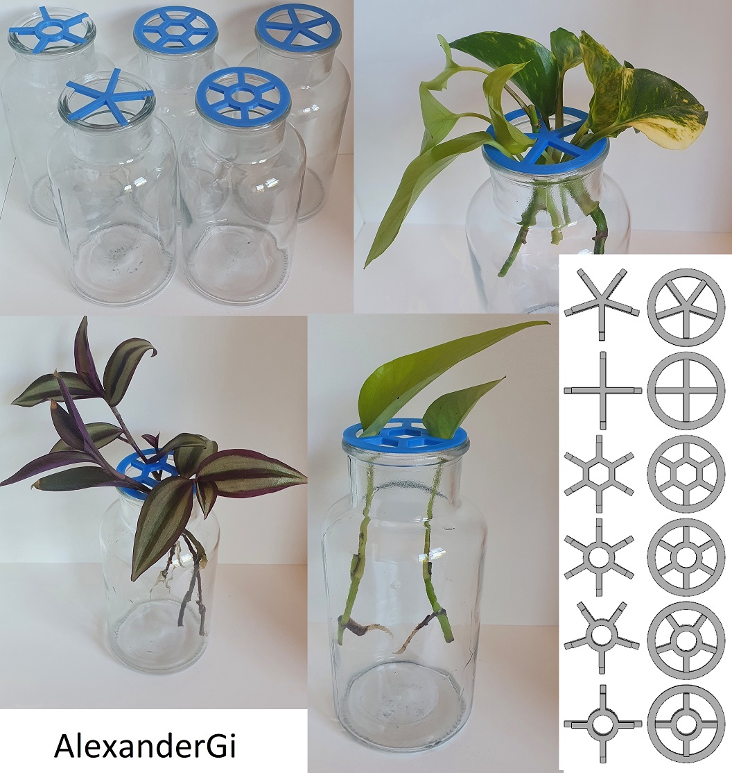 Plant Propagation Support / holder / lid