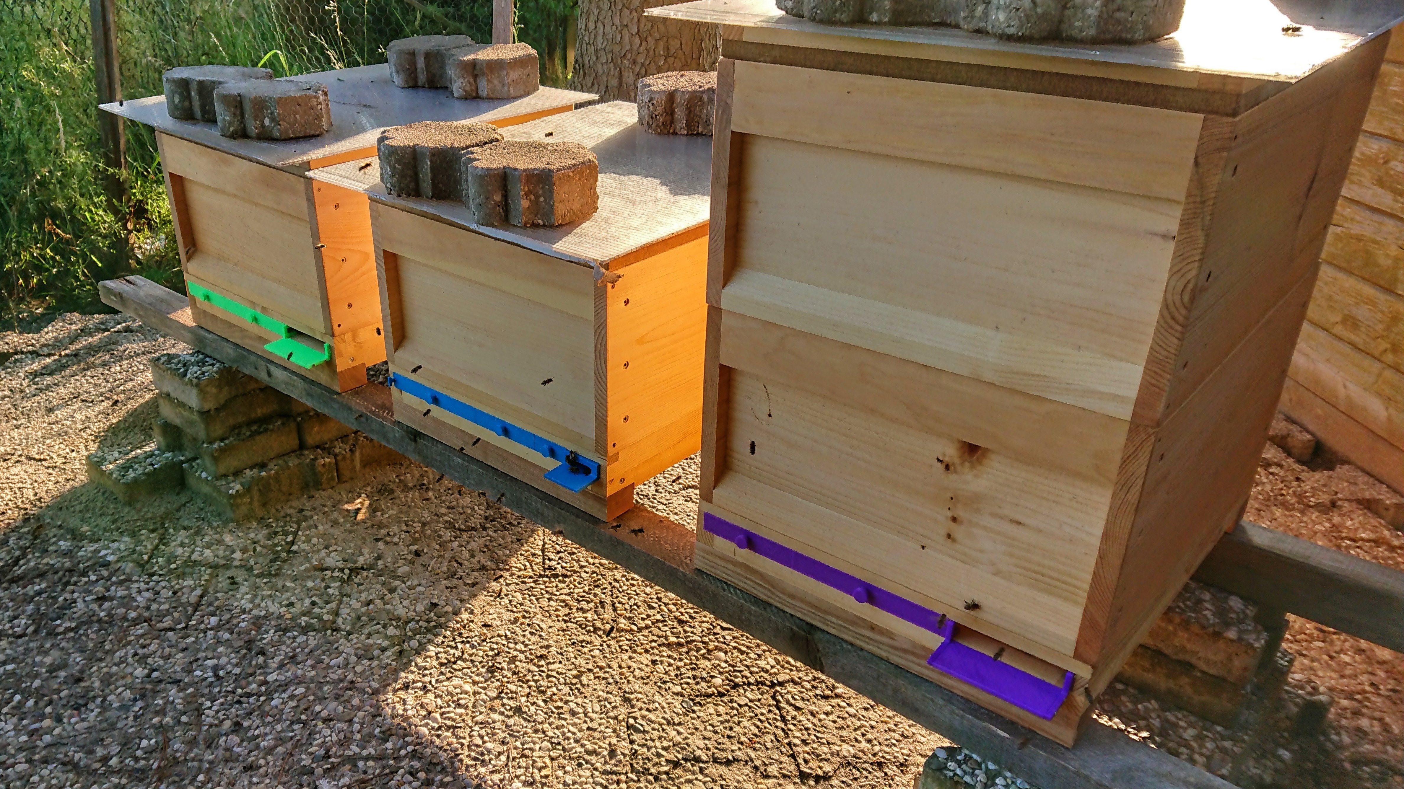 Beehive landing strip / entrance lock