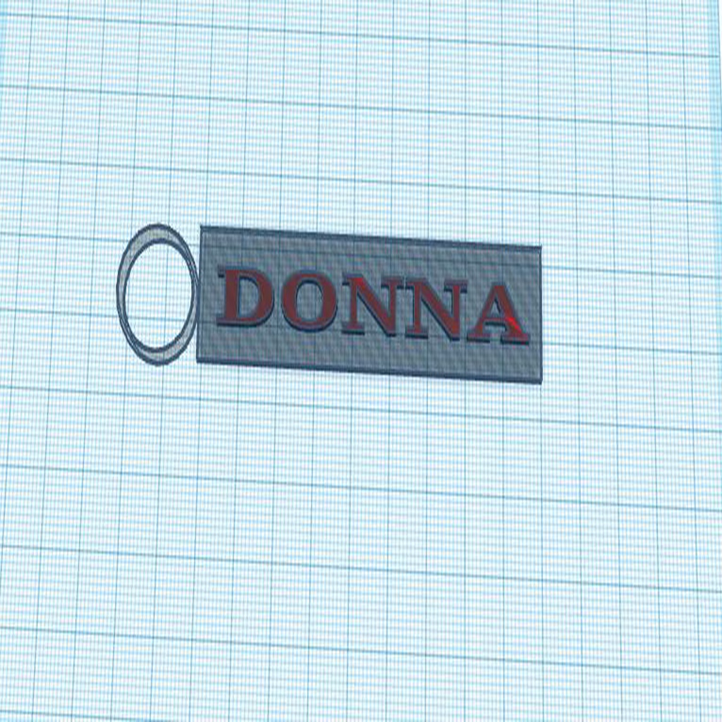 Keychain (with name Donna)