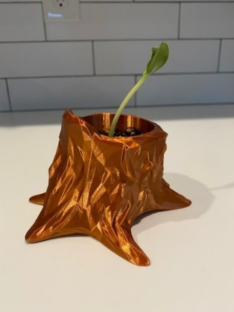 Stump Planter with Drainage Tray