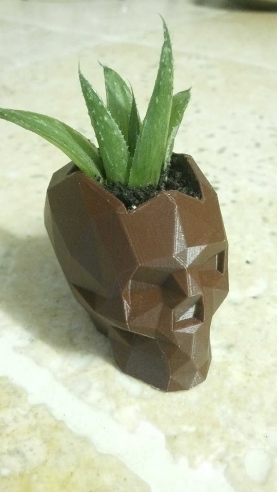 low poly skull planter